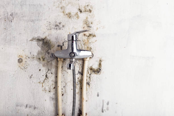 Best Mold Testing  in Flanders, NY